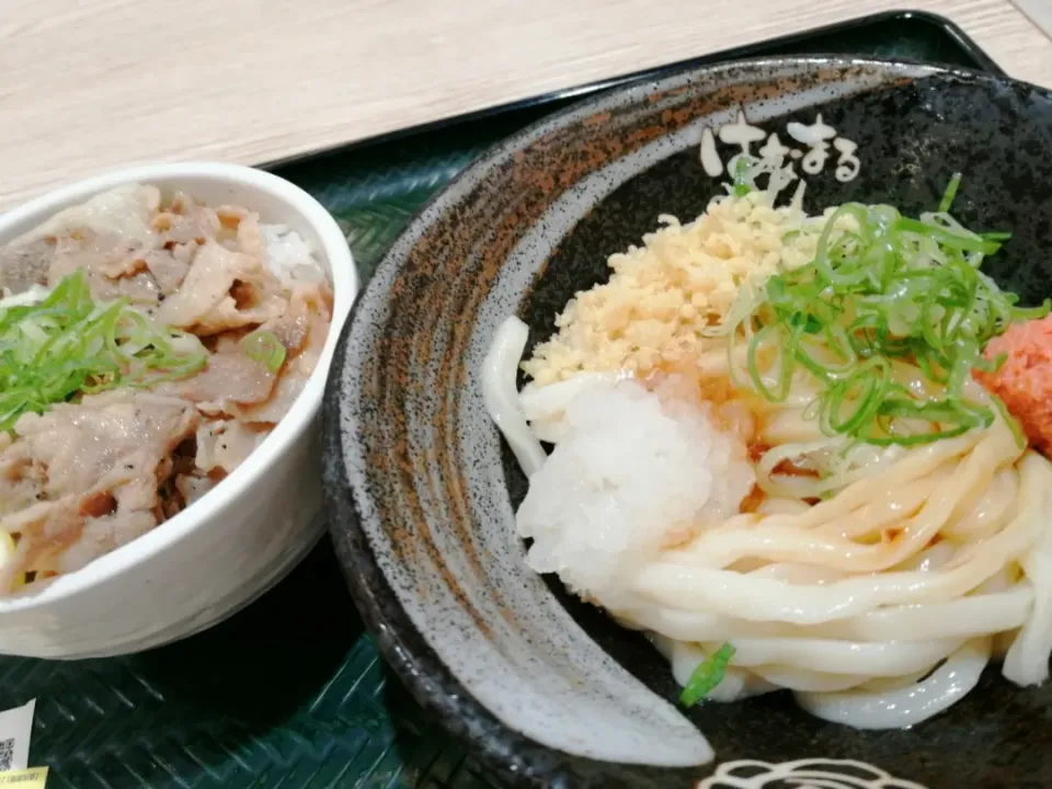 ミニ塩豚丼
明太おろししょうゆ
うどん|ゆずあんずさん