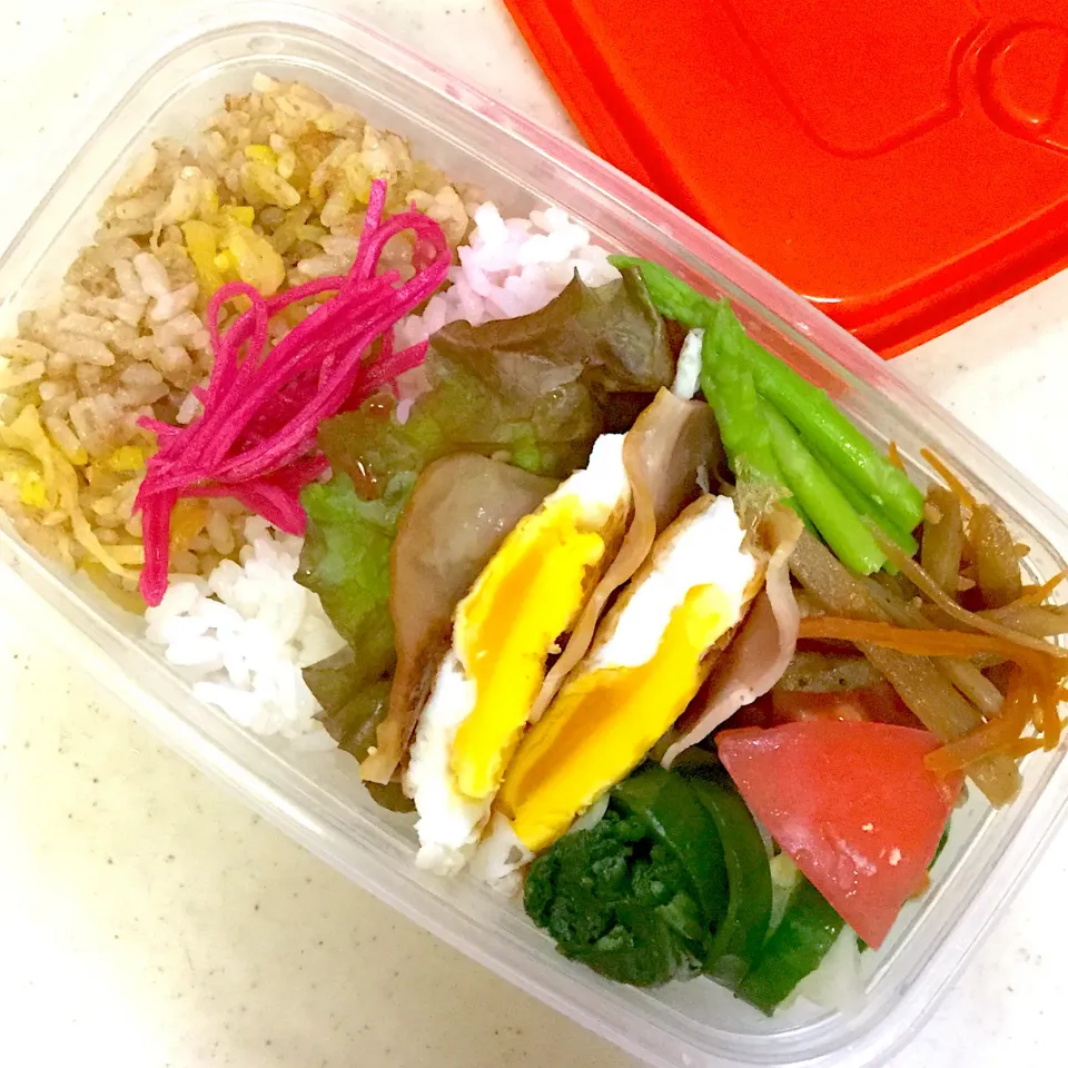 Today's lunch box|hoppycowさん