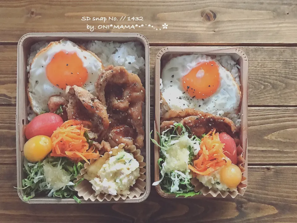 豚の生姜焼き お弁当|ONI*MAMA*さん