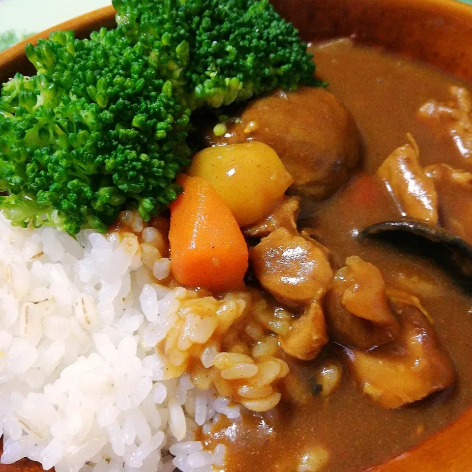 チキンカレー🍛(9/19)|海猫さん