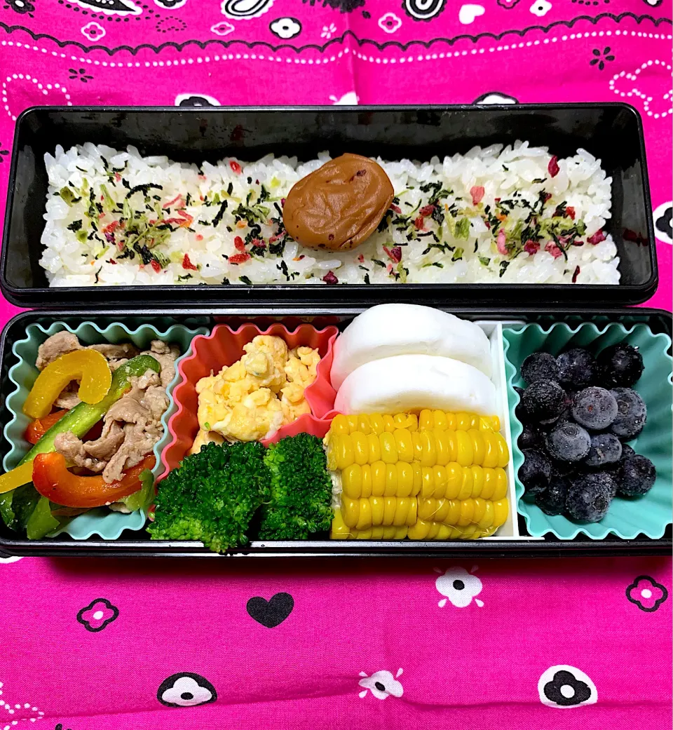 娘のお弁当9/20|iguigupopさん