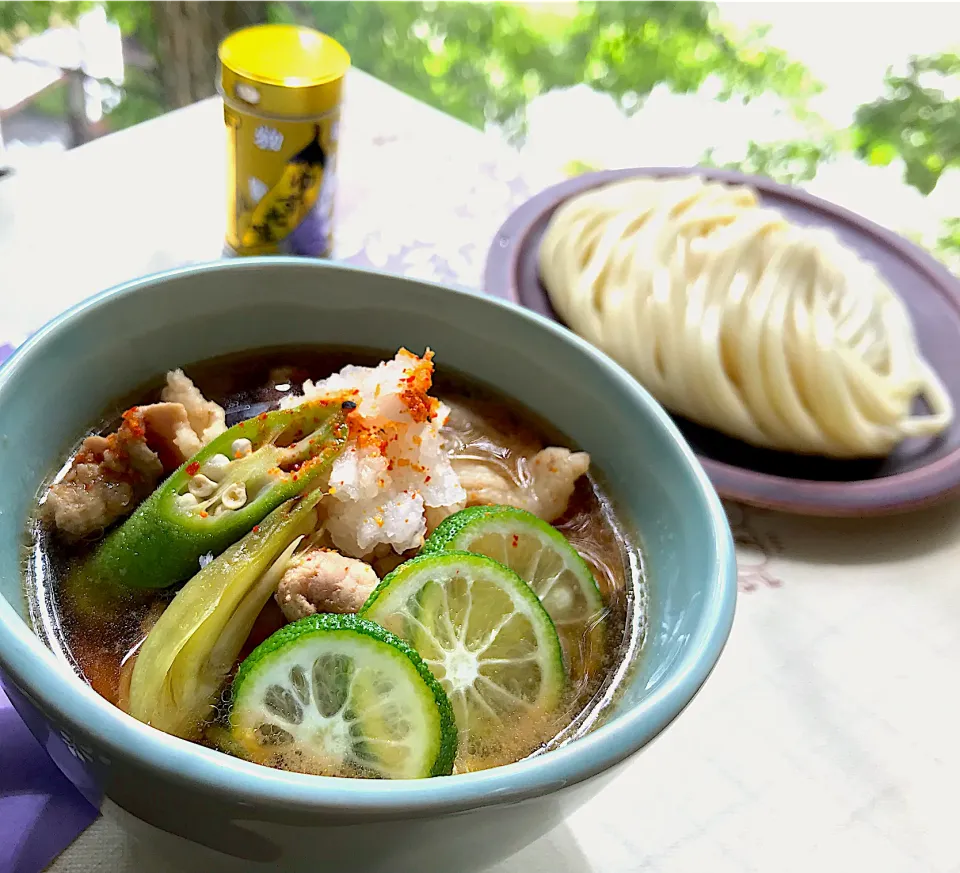 昼ごはん  すだち香る豚つけ汁うどん|砂雪さん