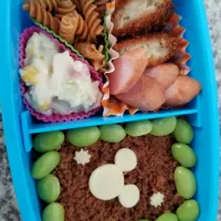 Snapdishの料理写真:息子のおでかけ弁当|あぁちゃんさん