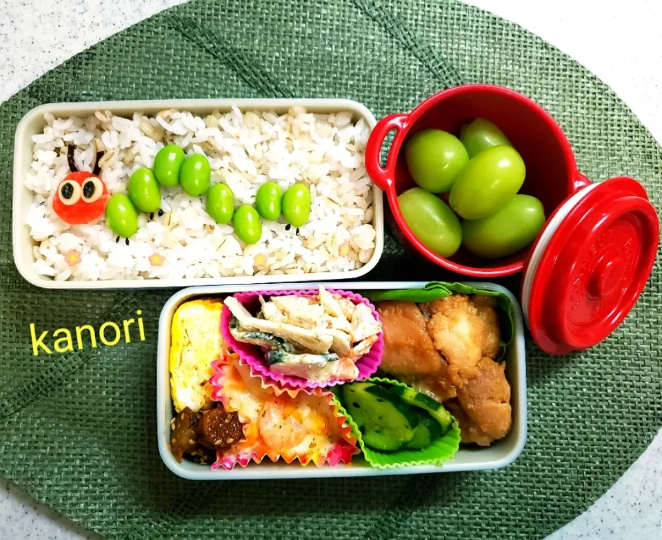 はらぺこあおむしnoお弁当～長女だけ～|かのりさん