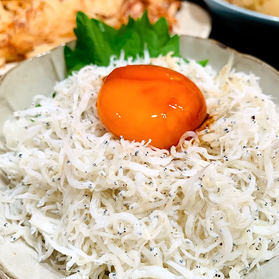 しらす丼♡卵黄の醤油漬け|いちごさん