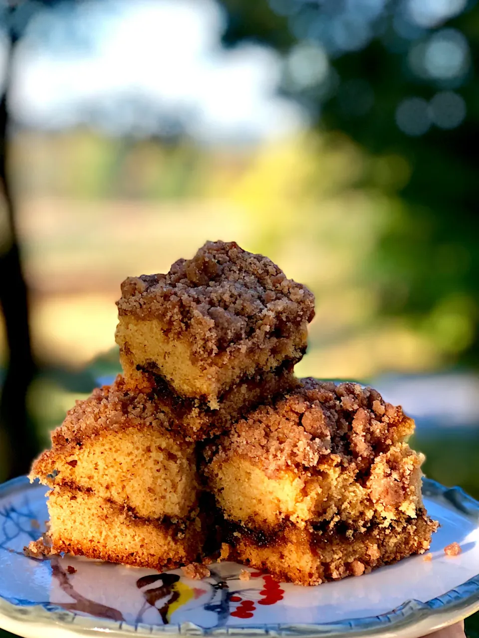 Sour cream streusel coffee cake in morning sun|Dean M Rogersさん