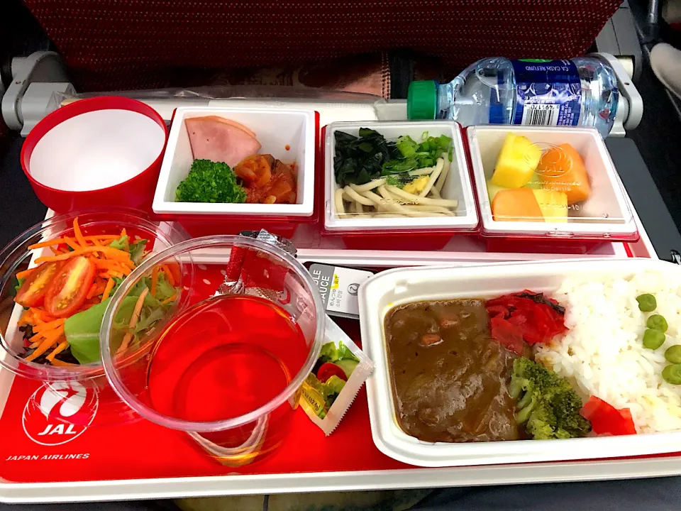 日本航空SAN→NRTの機内食|Makigelinaさん