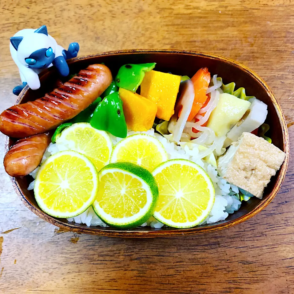 青みかん弁当|pippiさん