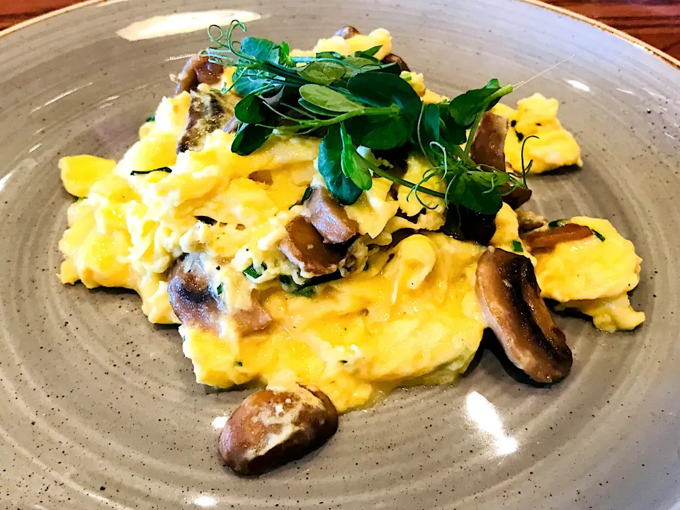 Breakfast black mushroom and scrambled eggs|Sergio Lacuevaさん