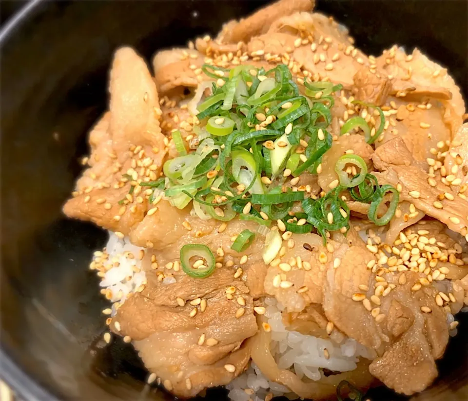 壱兆丼|半田手延べそうめんの店 阿波や壱兆さん