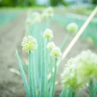 【News☆】もぐもぐ未来プロジェクト特設ページができました！|もぐもぐ未来プロジェクトさん