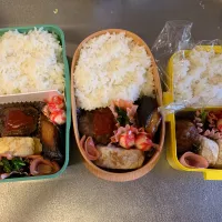 Snapdishの料理写真:ハンバーグ弁当|pikaさん