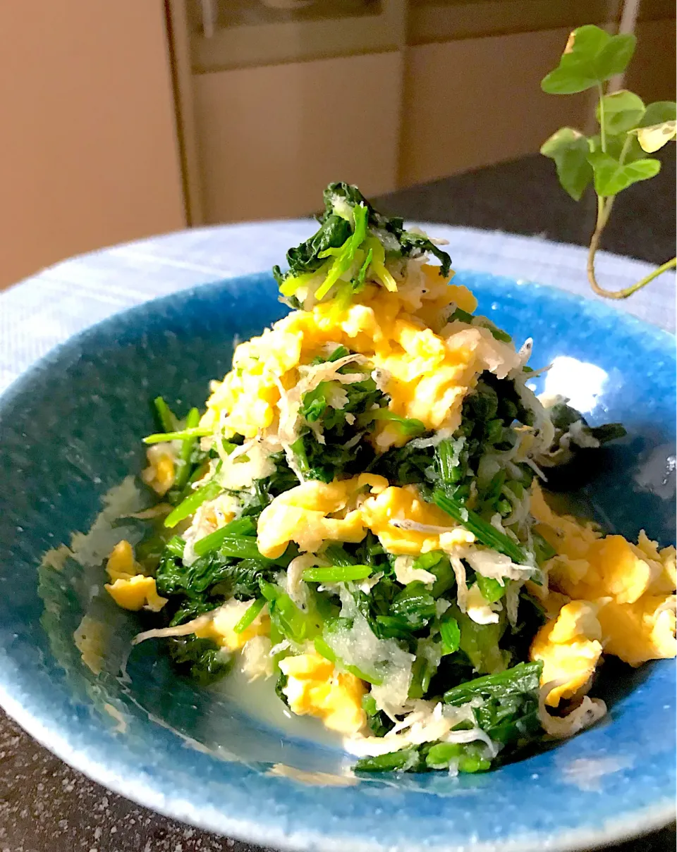 ほうれん草のみぞれ和え|シュトママさん