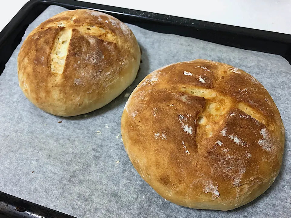 左がミルクパン 右がオリーブ風味のパン|わふももさん