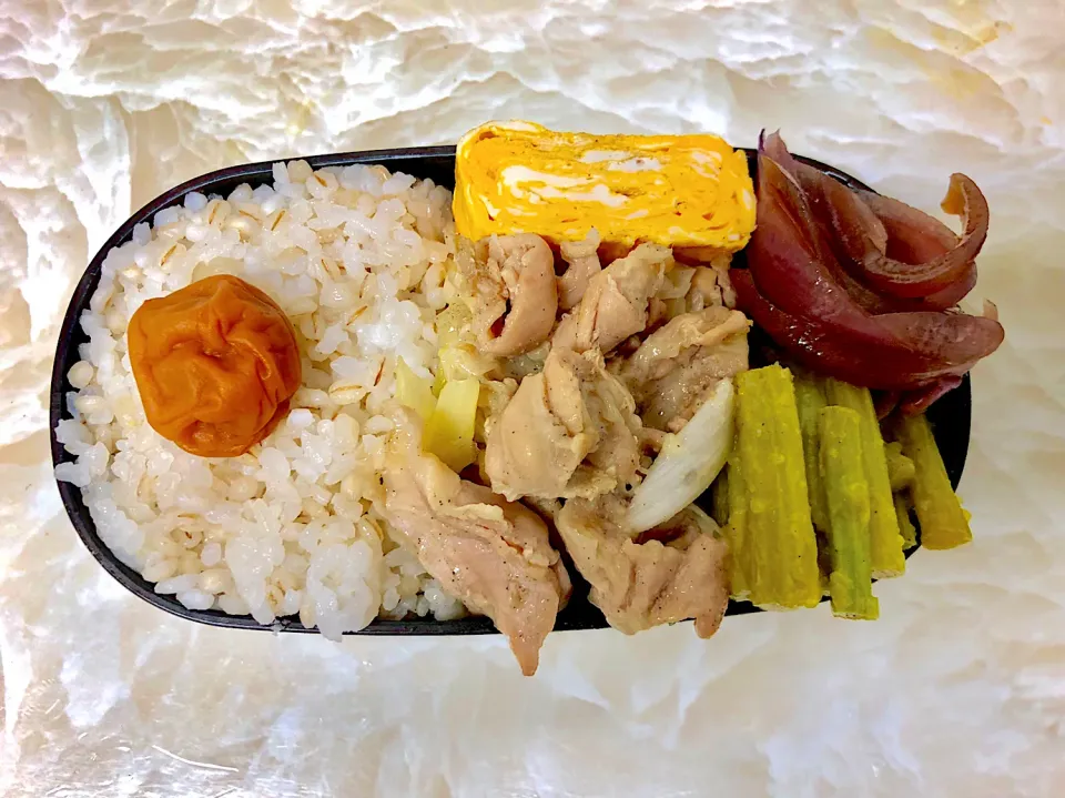 今日のお弁当9/25|としぼーさん