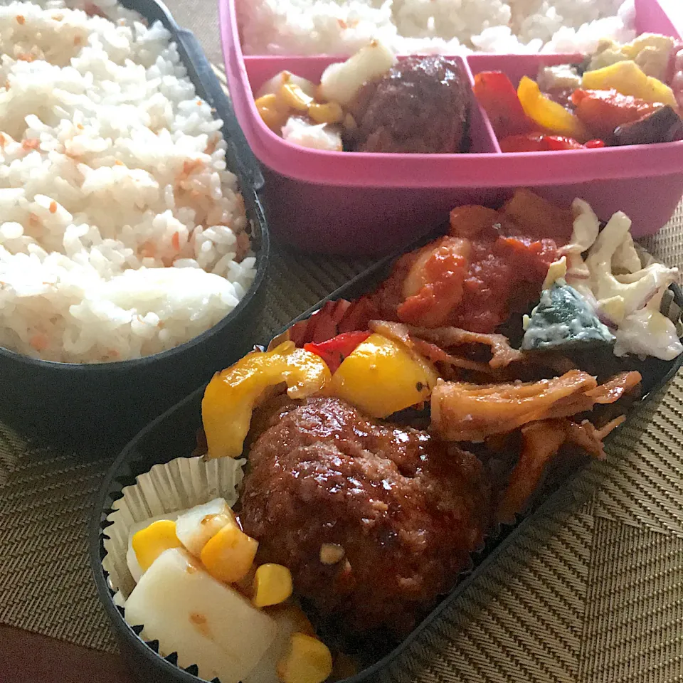 今日のお弁当🍱|mokoさん