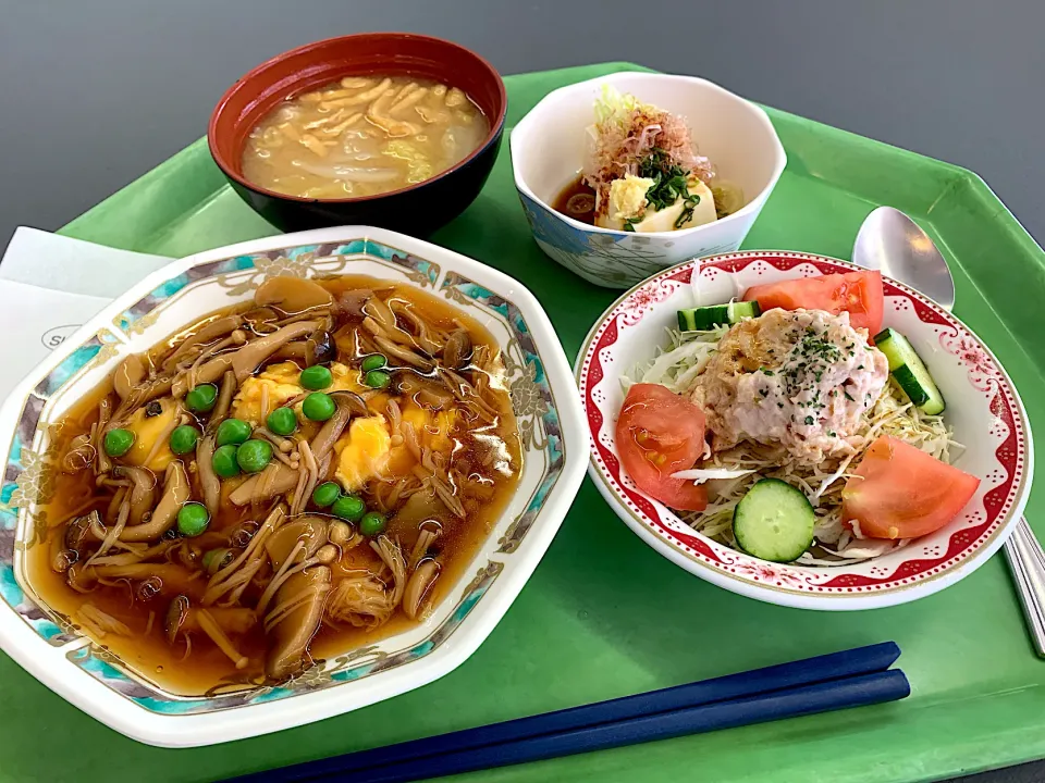 麻茹炒蛋（玉子のきのこソース）、冷奴、ツナとトマトのサラダ、味噌汁|Tadahiko Watanabeさん