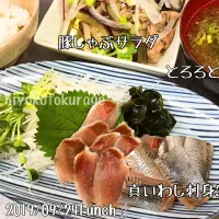 昨日のお刺身ランチ🐟|ありんこさん