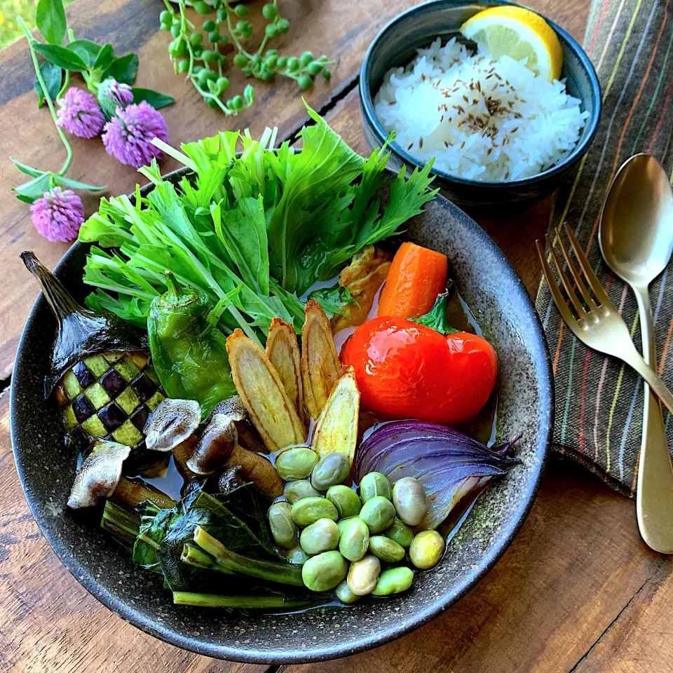 野菜を食べるスープカレー|呑兵衛料理家 おねこさん