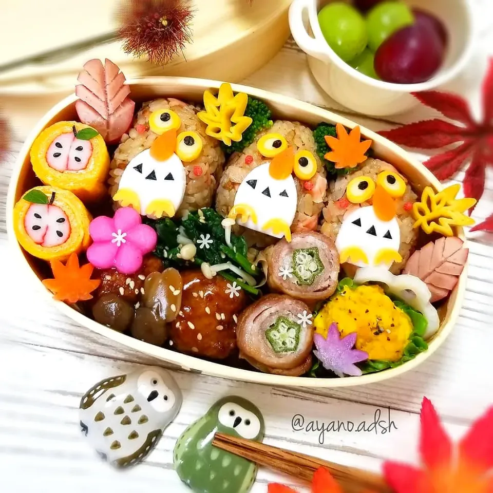 炊き込みご飯で🦉フクロウおにぎり弁当|ayano.adshさん