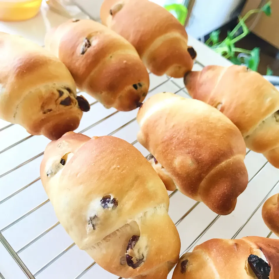 お気に入りのホワホワ生地で❤レーズンパン|綾奈さん