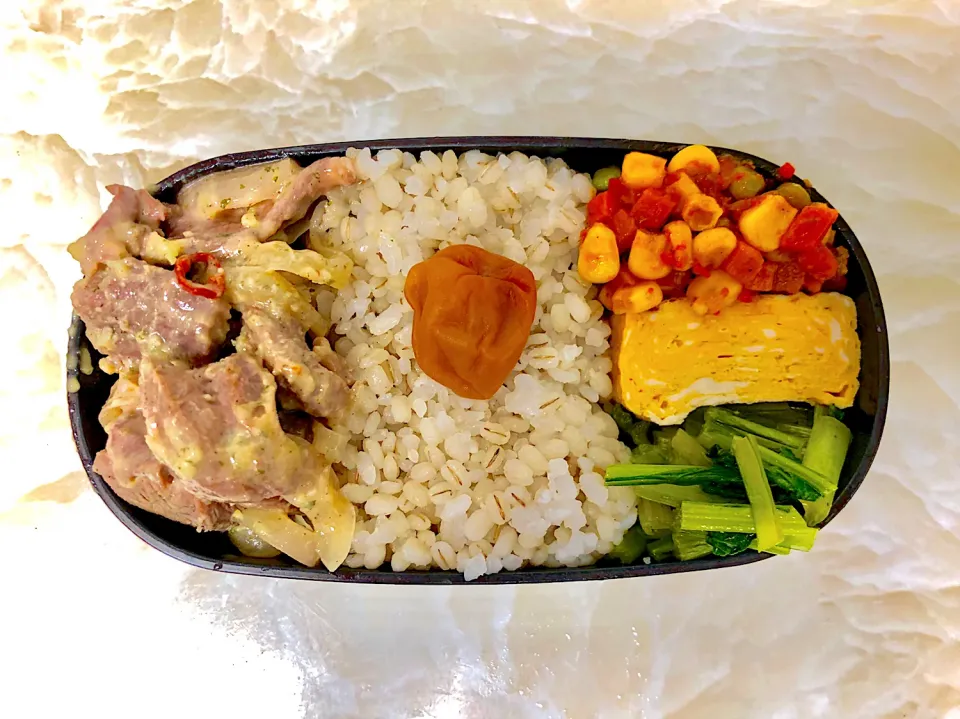 今日のお弁当9/27|としぼーさん