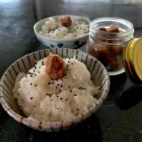 にゃんこちゃん特製梅干しで朝ごはん 🍚  まいり盛り🍚