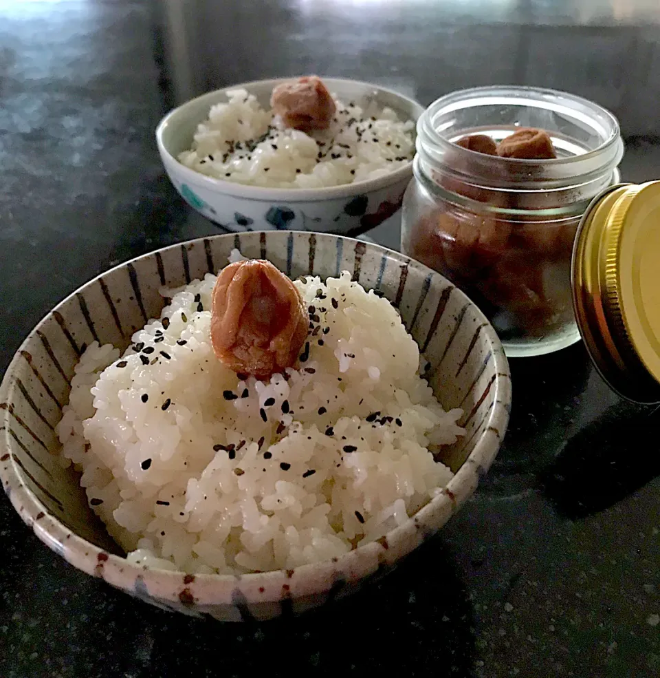 にゃんこちゃん特製梅干しで朝ごはん 🍚  まいり盛り🍚|シュトママさん