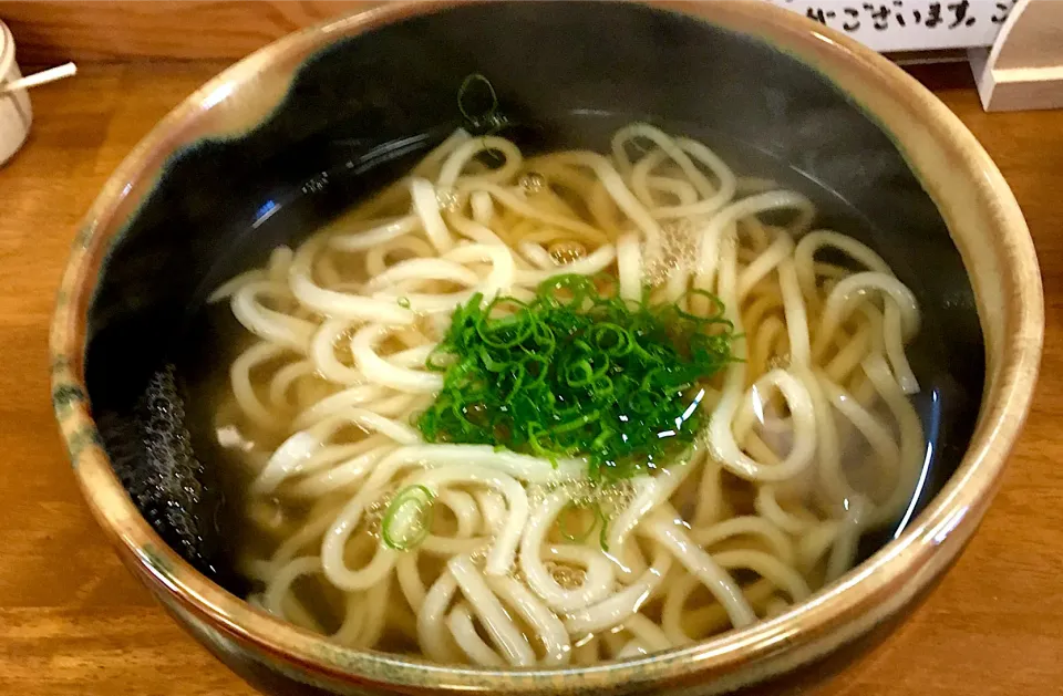 農家のうどん屋 かけうどん                     ・麺好き男のランチ                               #農家のうどん屋|mottomoさん