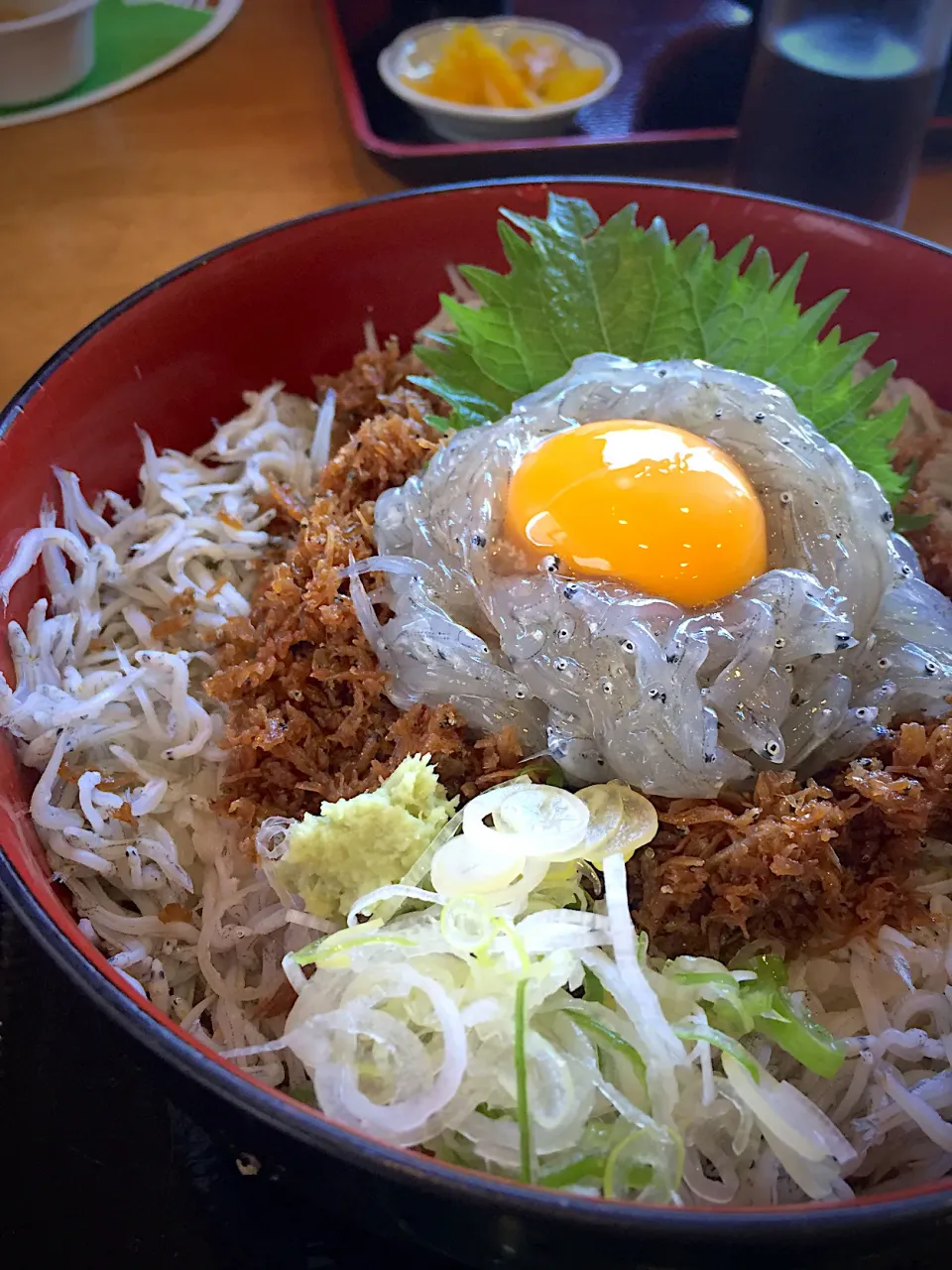 生しらす丼|まるころけさん