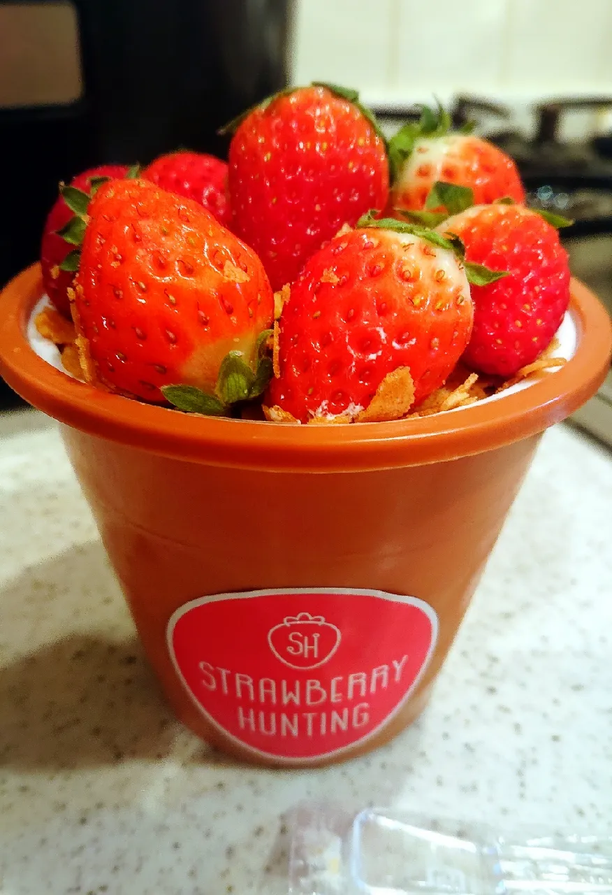 お客様からのお土産❤️
#ストロベリーハンティング🍓
#錦
#食べきれなくて自宅に持ち帰りました🥰
#感謝いっぱーい|GGGさん