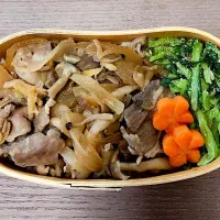 Snapdishの料理写真:豚丼弁当|rinaさん