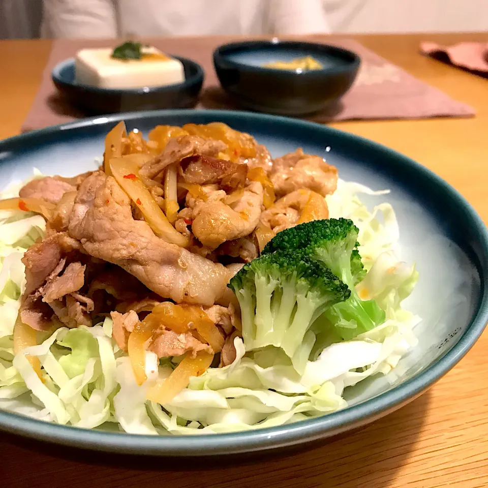 豚こま生姜焼き。妻はキャベツ。私はごはん。晩ごはん。|しゅうとうさんさん