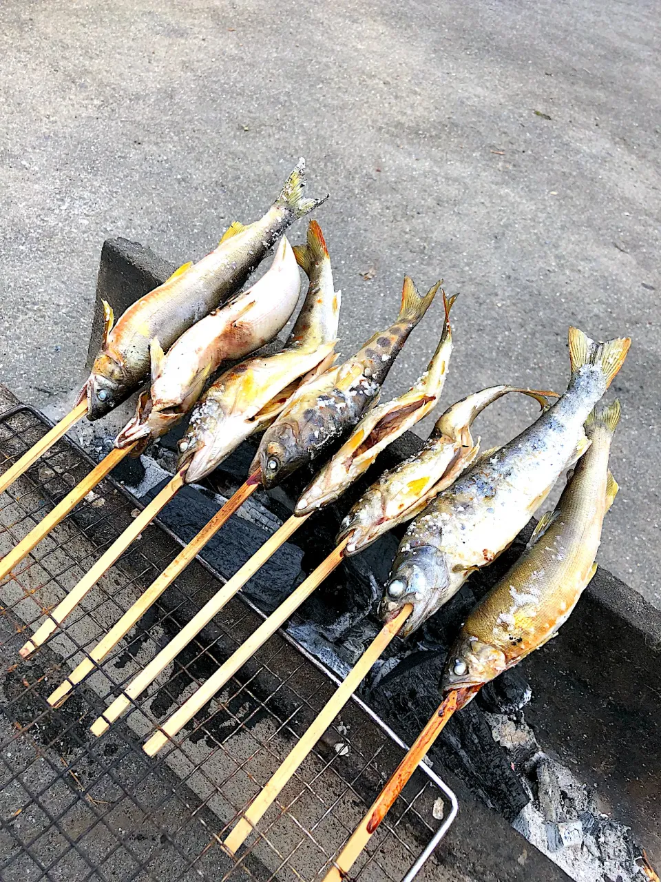 Snapdishの料理写真:子持ち鮎の塩焼き|ピヨまるさん