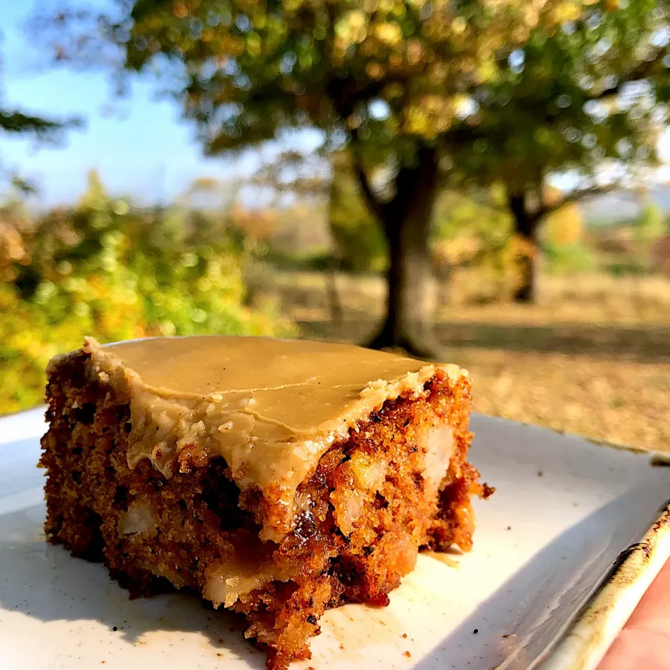 Spiced apple walnut cake with brown sugar frosting.|Dean M Rogersさん