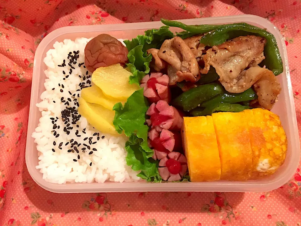 Snapdishの料理写真:2019年9月29日
旦那さんのお弁当🍱👨‍✈️👷🏻‍♂️👨‍🔧🚊💪🏼✌️💞❤️|Kodomo Cookingさん