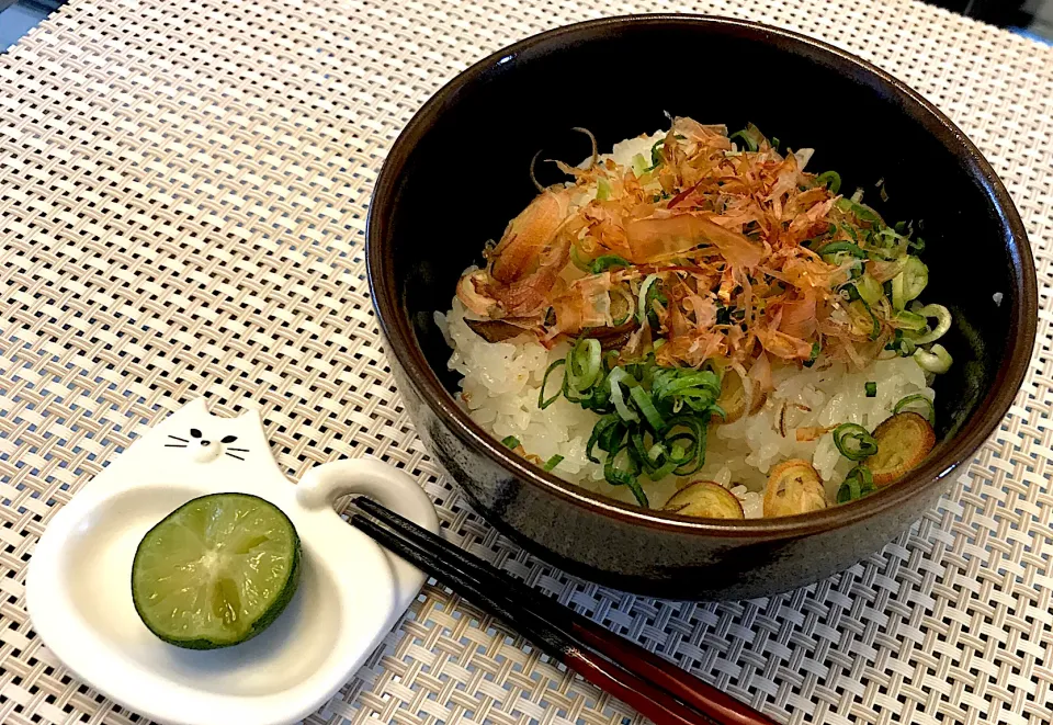 すだちご飯の図🥒ご飯にミョウガ、ネギ、かつお節乗せてすだち振って醤油かけた、すだち味ねこまんまどす🙀|にゃあ（芸名）さん