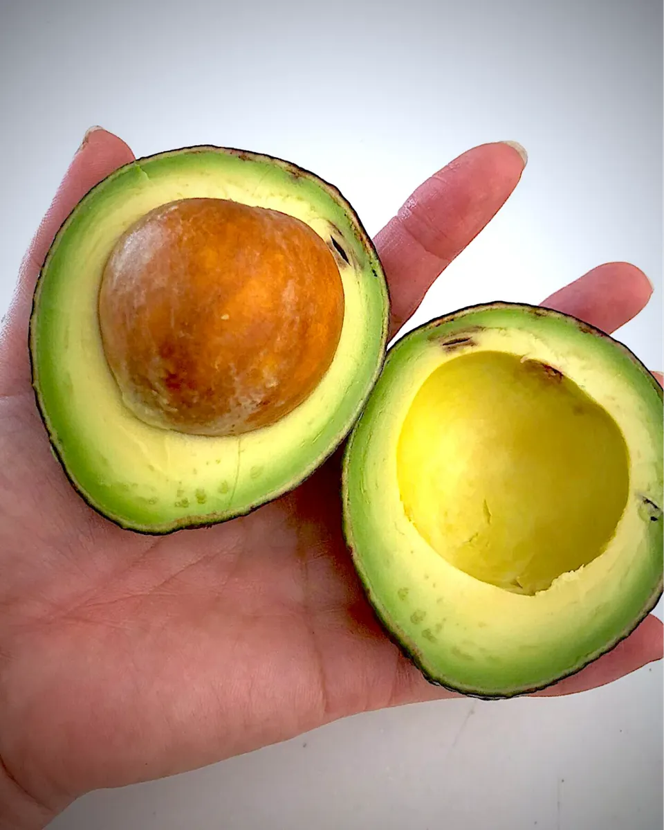 種がデカ過ぎるアボカド🥑😂|ゆかりさん