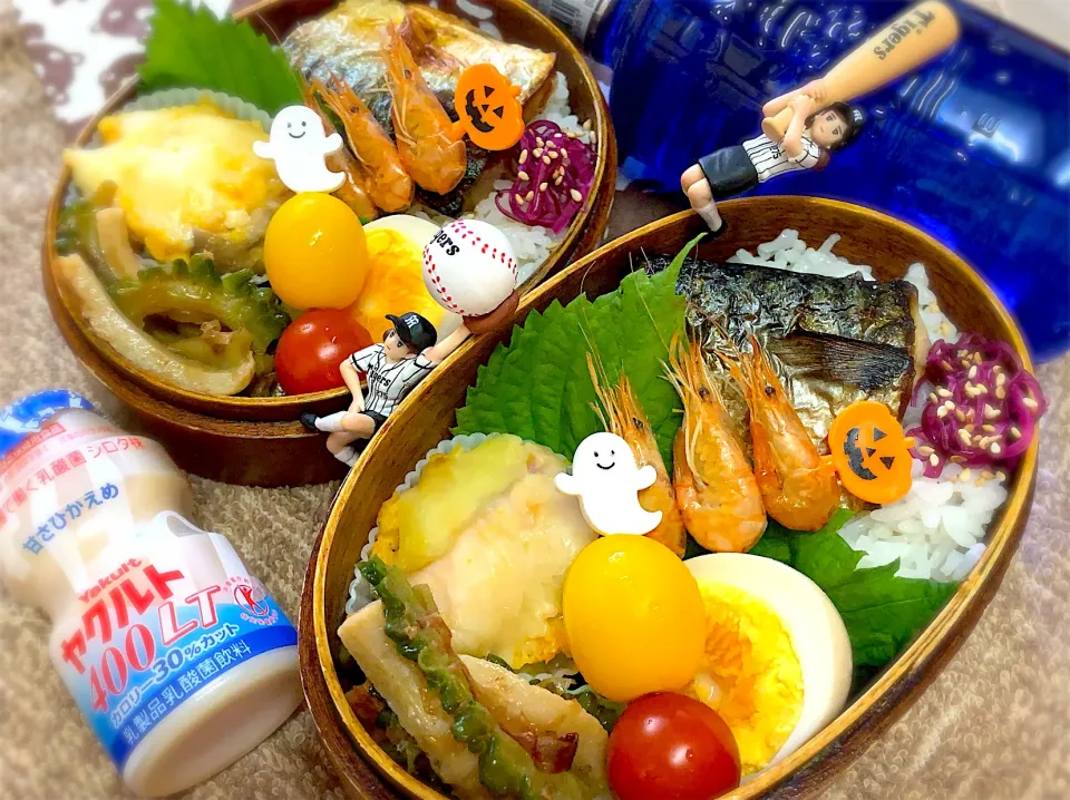 Snapdishの料理写真:焼き塩鯖&かぼちゃ🎃グラタン&ゴーヤとちくわのチャンプル&味玉&川エビ🦐の甘煮&しばわかめ&大葉&プチトマト🍅の夫婦お弁当♪|桃実さん