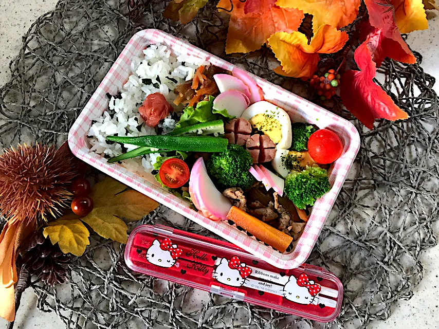 Snapdishの料理写真:9/30姫のお弁当|harutomomariさん