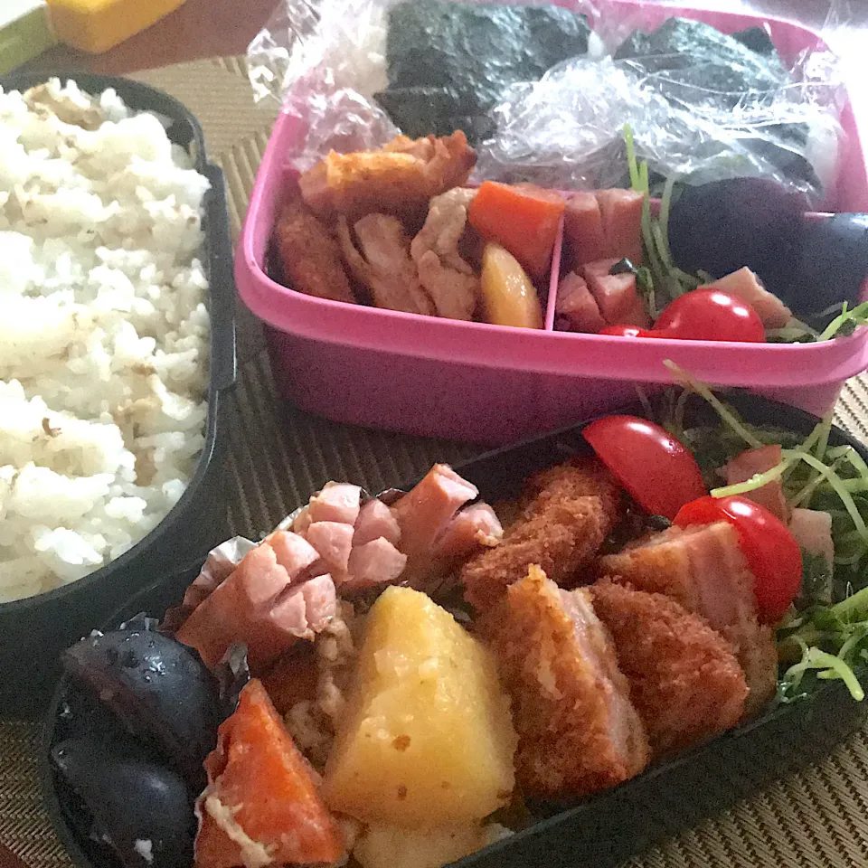 今日のお弁当🍱|mokoさん