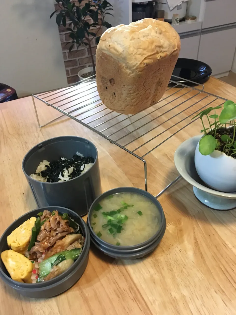 Snapdishの料理写真:朝焼きぶどうパン🍞と旦那さんのお弁当´◡`|さくたえさん