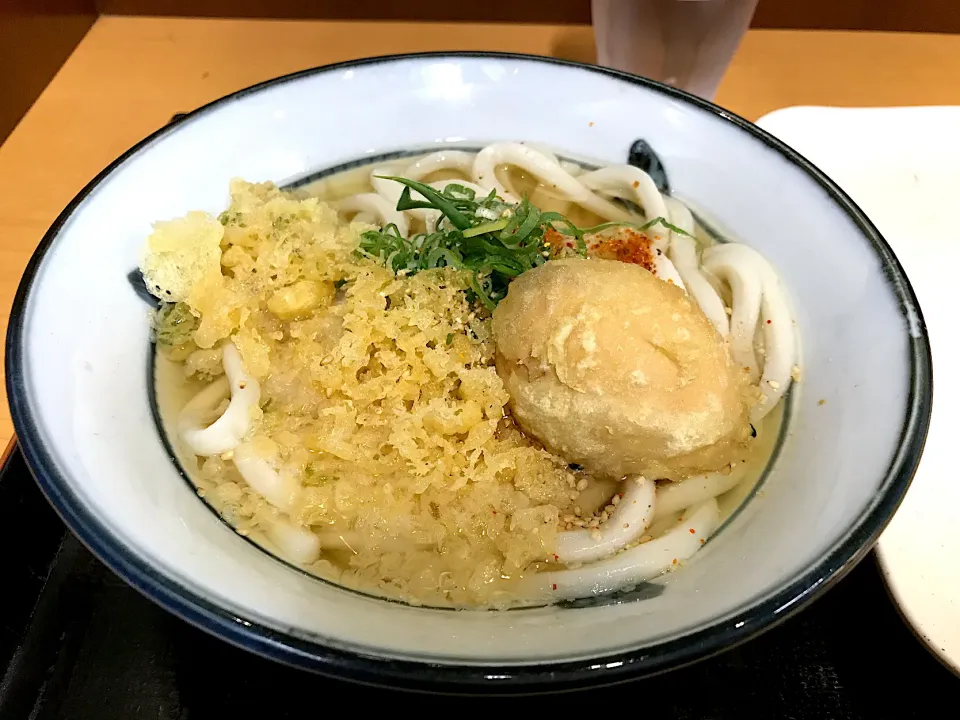 かけうどん　煮玉子天|マハロ菊池さん