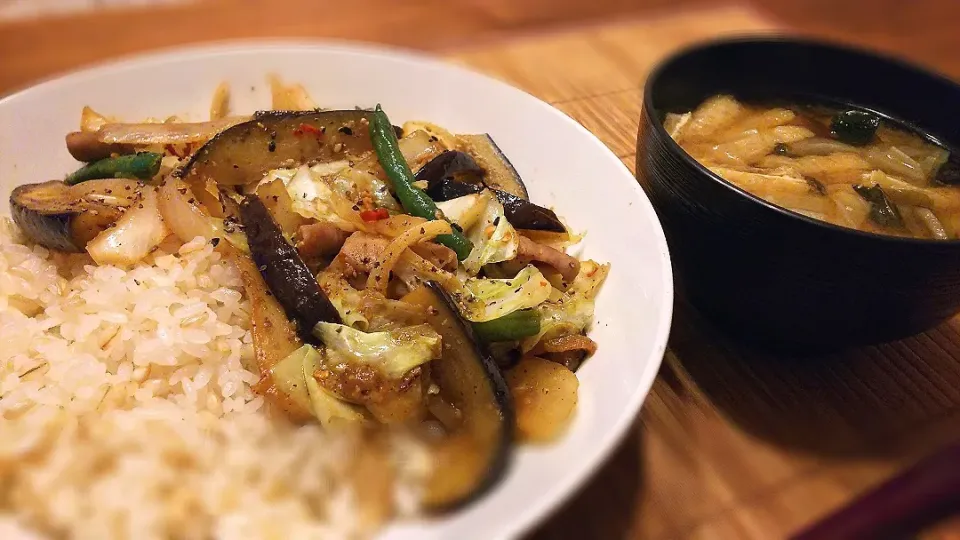 茄子もつ味噌炒め丼～
の晩ごはん✨|kaz(*･ω･)さん