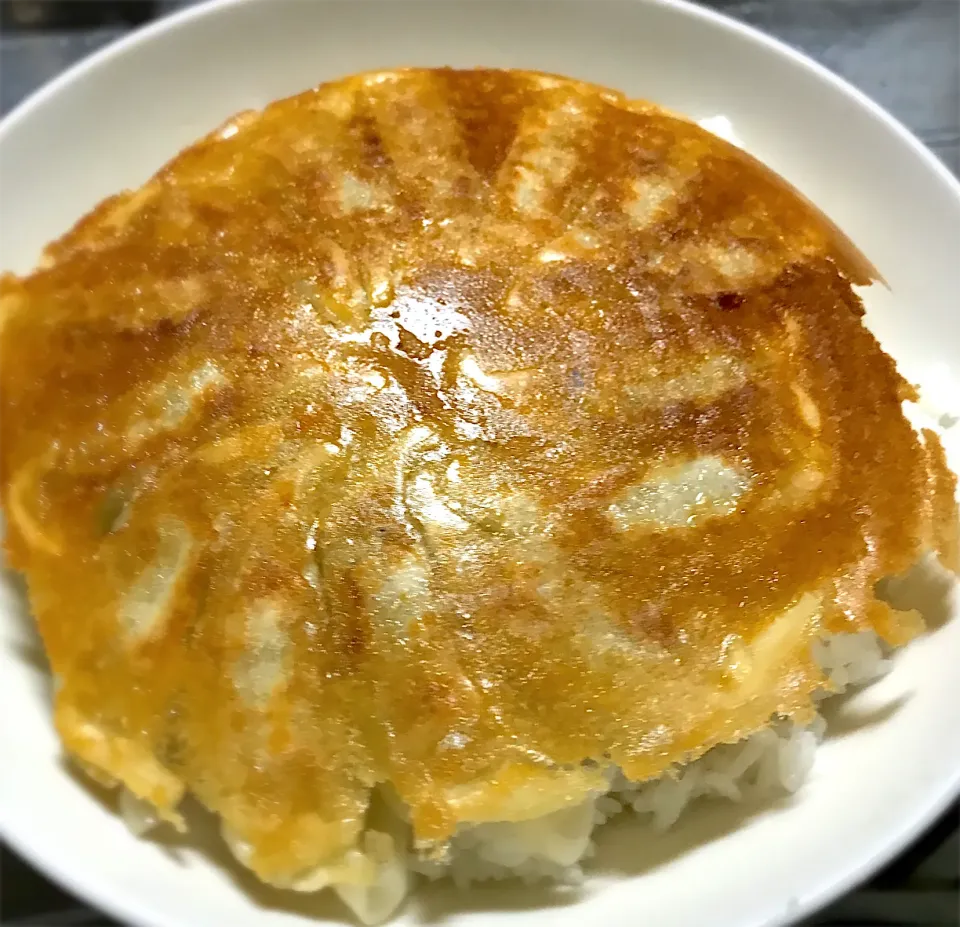 今夜は、黄金の円盤餃子ライスを頂きます🥟😋🎵|ギムレットさん