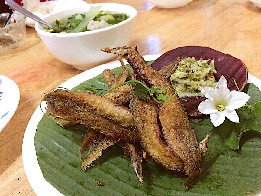 Deep fry fish with  young Tamarins sauce|Narun Molikaさん