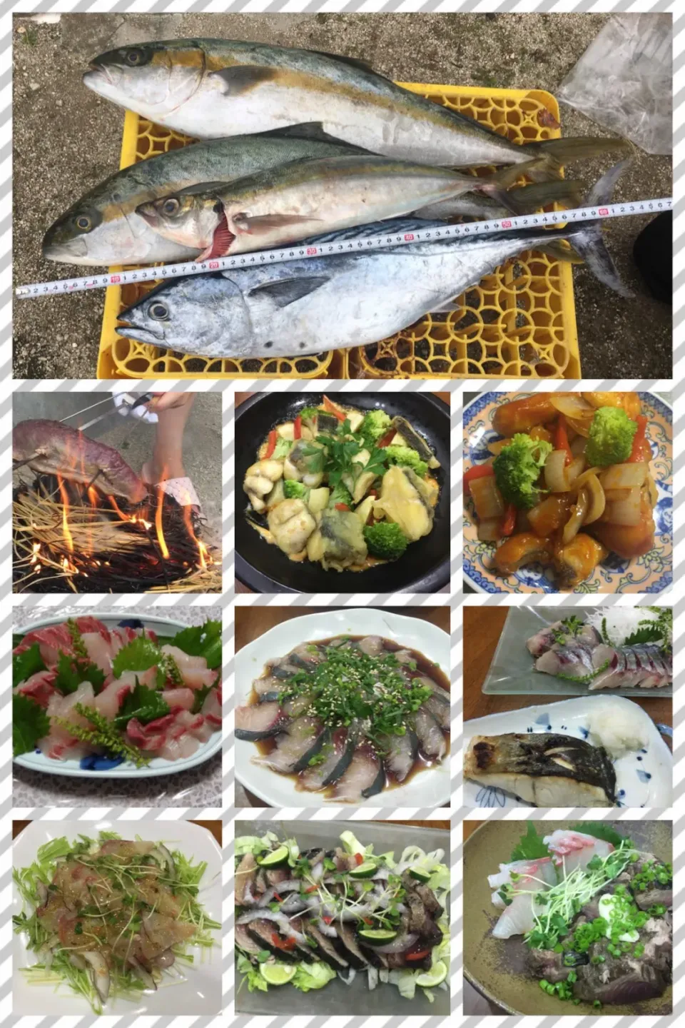 友人の釣果で 新鮮お魚三昧🥰|sakuramochiさん