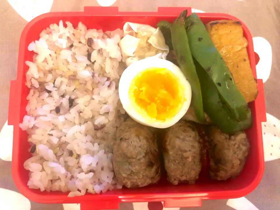 Snapdishの料理写真:ハンバーグ弁当|freeさん