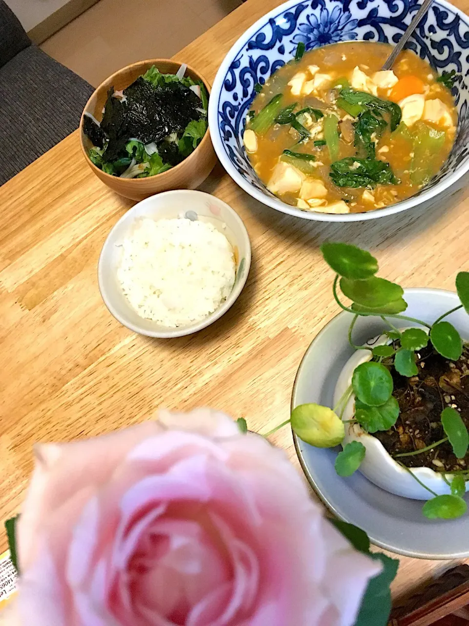 純豆腐チゲと海苔サラダ🥗|さくたえさん