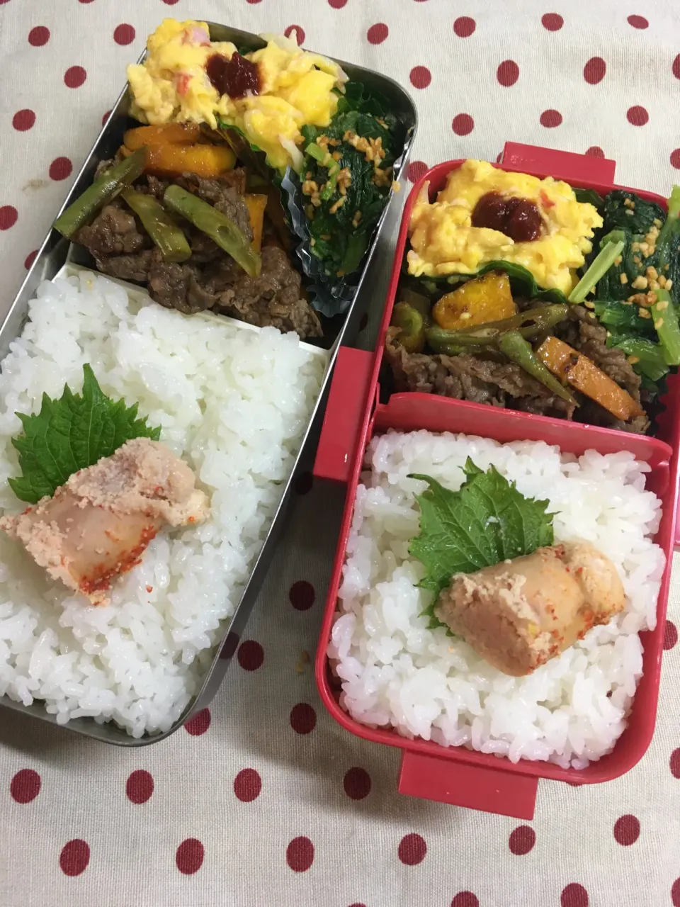 Snapdishの料理写真:10月4日 今日も晴天弁当🍱|sakuramochiさん